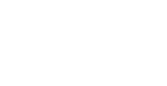 RAIL ACCESS THREE LINE