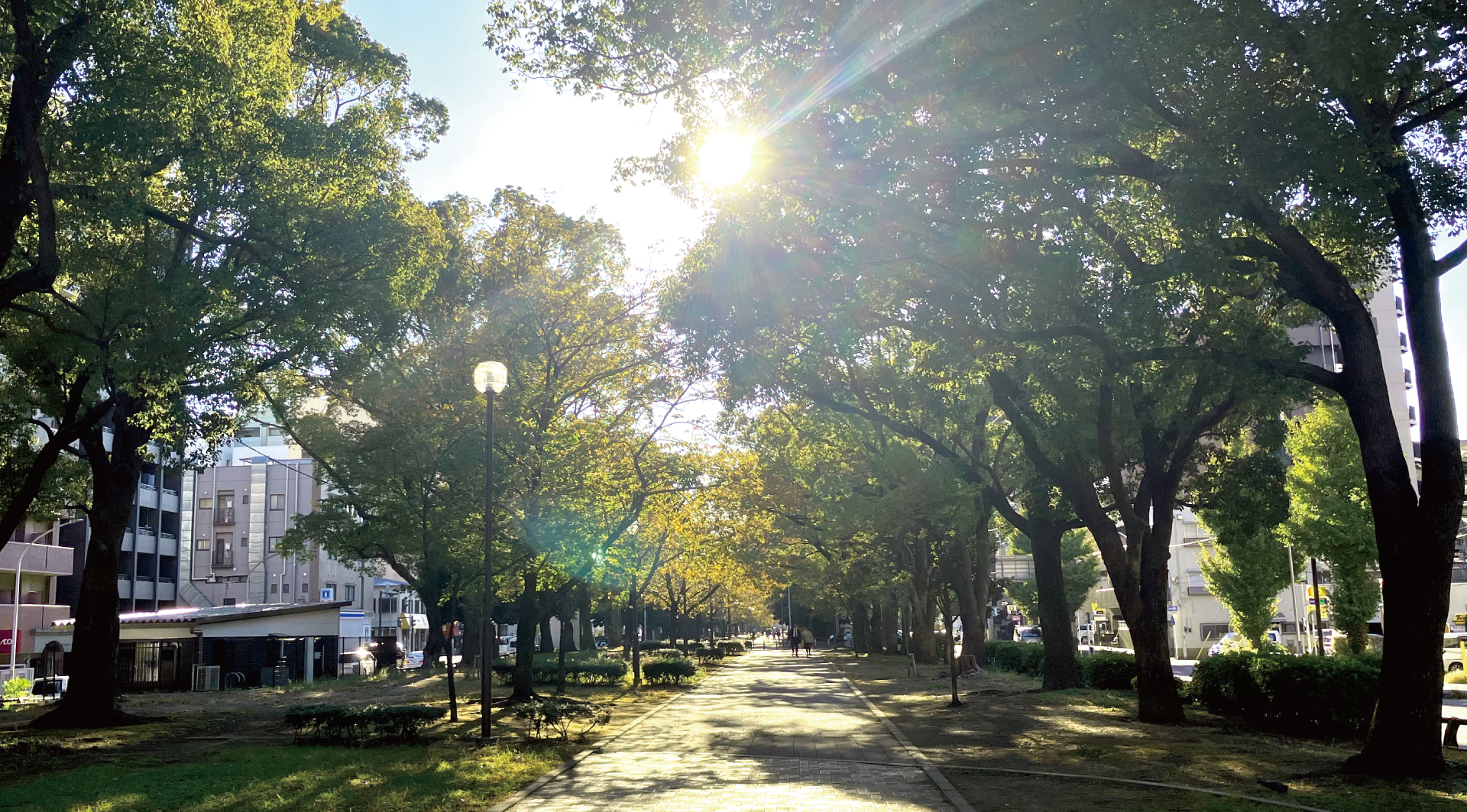 大通り公園（約300m）